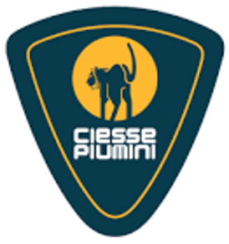 Ciesse Piumini Brands CommonShare