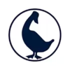 Acturus Capital