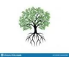 Gestion Tree Roots