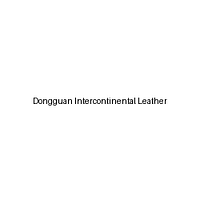 Dongguan Intercontinental Leather