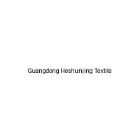 Guangdong Heshunjing Textile