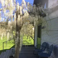 The Apple Farm dba The Apple Farm