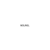 Molinel