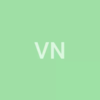 VEGGIE NOODLE COMPANY