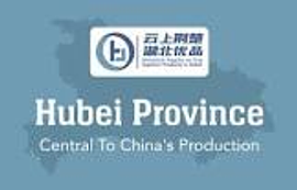 Hubei Bangxin Textile Technology Industry