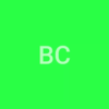 BASIL COMMODITIES PRIVATE