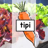 Tipi Produce
