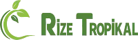 Rize Tropikal Ürünler Sti