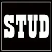 Handsome Heidi LLC (the Stud bar)