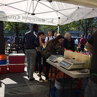 Buzzard Crest Vineyards