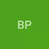 BLACKBERRY PATCH INC