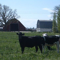 Saint John's Organic Farm