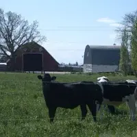 Saint John's Organic Farm