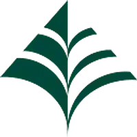 Carter Holt Harvey Plywood