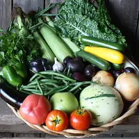 Wobbly Cart Farm