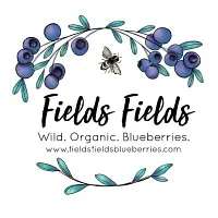 Fields Fields Blueberries