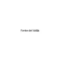 Fontex Del Vallés