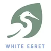 WHITE EGRET