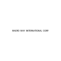 Macro Way International