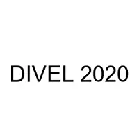 DIVEL 2020