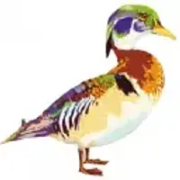 Duckwall-Pooley Fruit