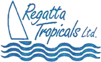 Regatta Tropicals