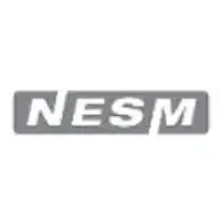 NESM Holdings