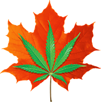 Northeast Kingdom Hemp