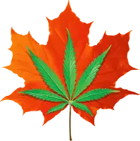 Northeast Kingdom Hemp