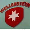 Wellensteyn International