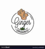 Ginger