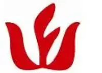 Zhejiang WANFENG Chemical