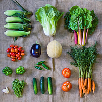 Roxbury Farm CSA