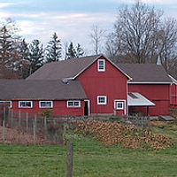 English Farm