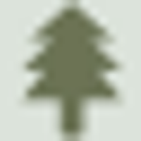 Jim Wilmer & Sons Timber Harvesting