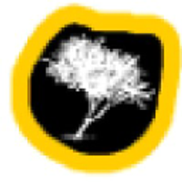 Mpingo Conservation and Development Initiative