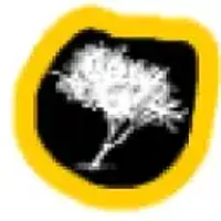 Mpingo Conservation and Development Initiative