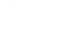 Organic Body Essentials