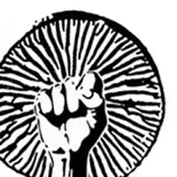 Fungi For The People