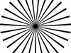 Polybion