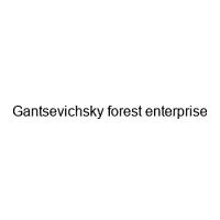 Gantsevichsky forest enterprise