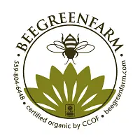 Bettina - Bee Green Farm