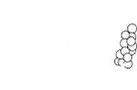 SINAI - Servicios Integrales y Agroindustriales