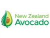 NEW ZEALAND AVOCADO