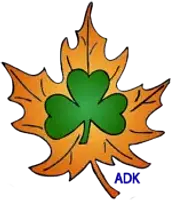 Shamrock Enterprises of NY