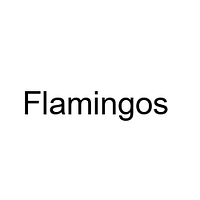 Flamingos