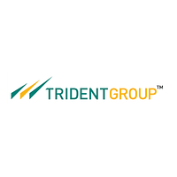 TRIDENT LIMITED