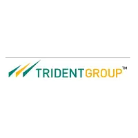 TRIDENT LIMITED