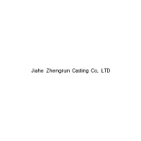 Jiahe Zhengrun Casting
