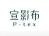 P Tex Holding